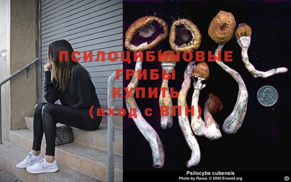 экстази Алзамай
