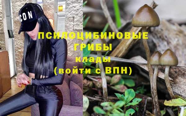экстази Алзамай