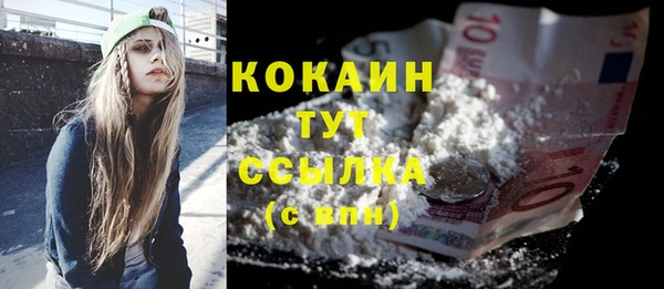 хмурый Сатка