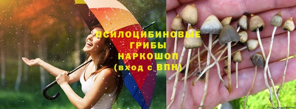 экстази Алзамай
